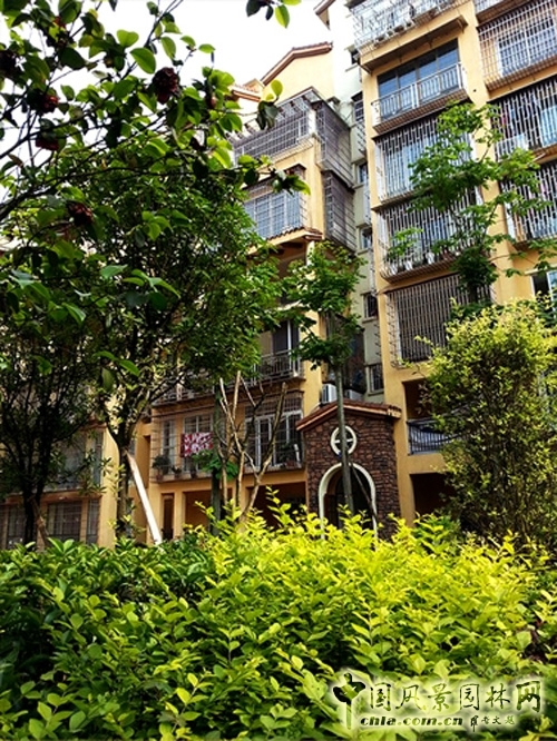 東方君士 龍城御庭 住宅景觀 景觀設計