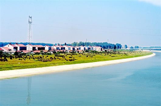 運河旁新農村建設如火如荼