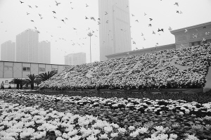 石家莊 園林部門 公園擺花 