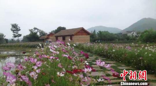 長興太湖圖影生態濕地