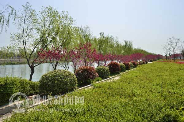 園林小區(qū)開發(fā)與植綠同步