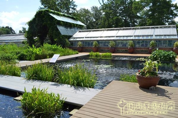 美國德克薩斯州橘子郡的香格里拉植物園