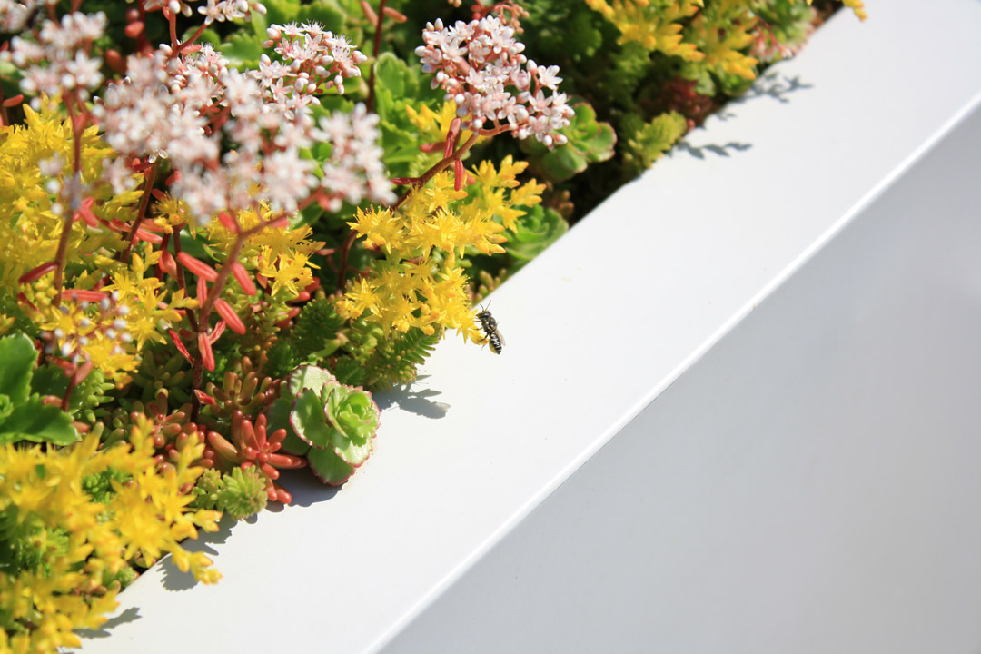 屋頂綠化創(chuàng)新測試(GRIT)實驗室