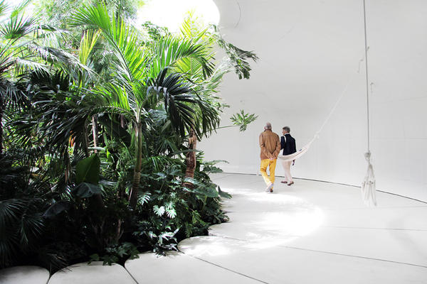 隱藏在巨大草坡內(nèi)的熱帶雨林風(fēng)情