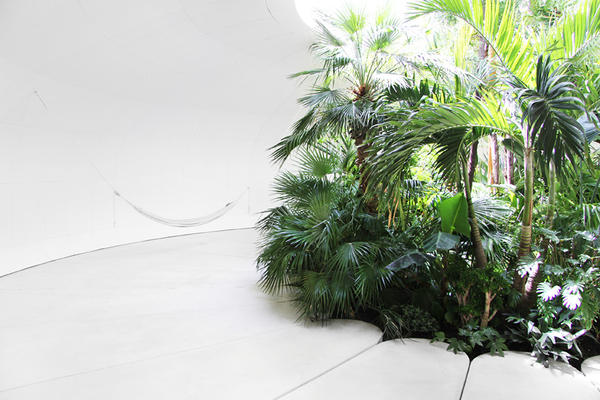 隱藏在巨大草坡內(nèi)的熱帶雨林風(fēng)情