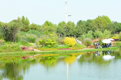 黃家湖公園河畔上，1500平方米水生植物組成武漢首個(gè)“水上花境”