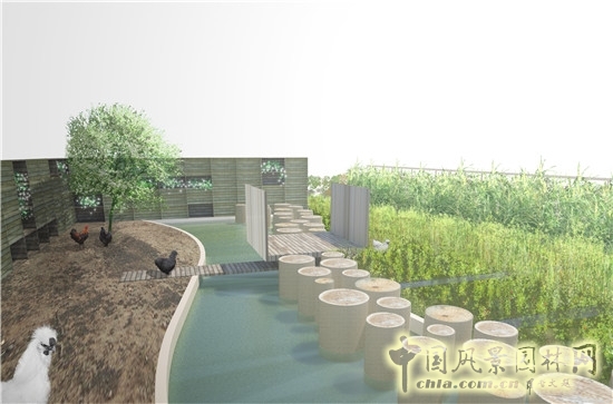 LE JARDIN DES POULES