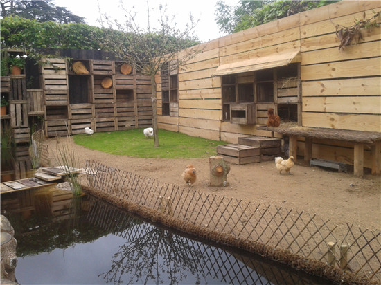 LE JARDIN DES POULES