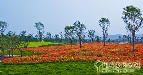 濟南園林花卉博覽會
