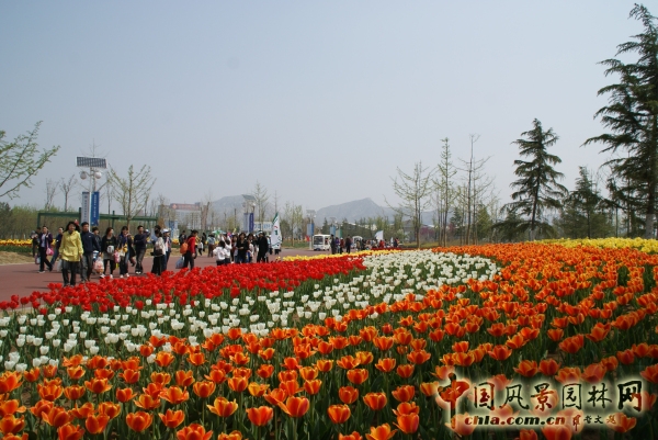 濟南園林花卉博覽會