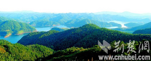 俯瞰庫區一角。