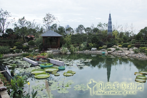 越香園 花博會(huì) 吳越文化 綠色人居