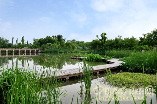 杭州西溪國家濕地公園