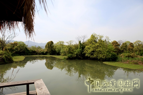 杭州西溪國家濕地公園