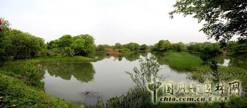 杭州西溪國家濕地公園
