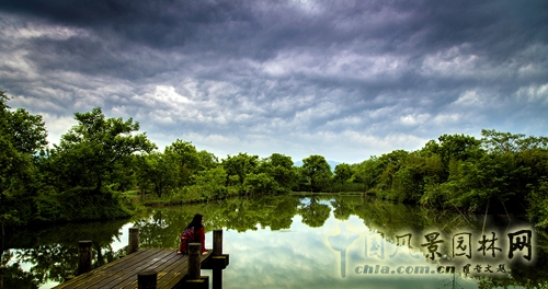 杭州西溪國家濕地公園