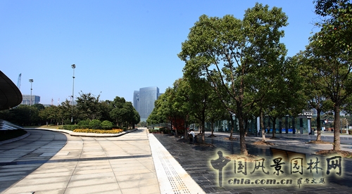 杭州錢江新城核心區