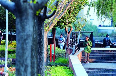 公園、綠地、景點將"連點成線" 滬打造城市綠道慢行系統