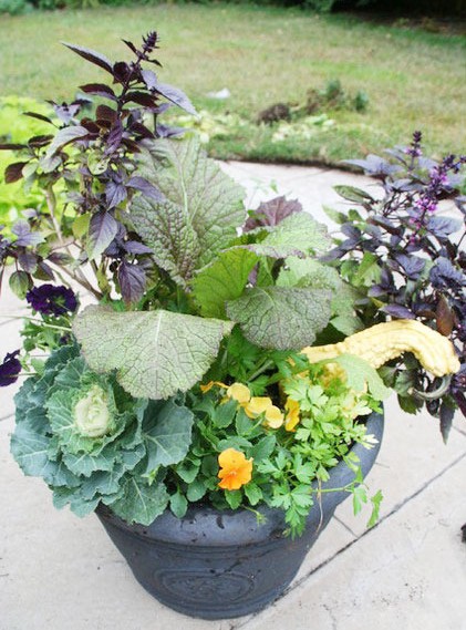 秋高氣爽 9種綠色植物給花園添一抹秋色