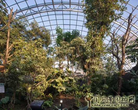 文森動(dòng)物園