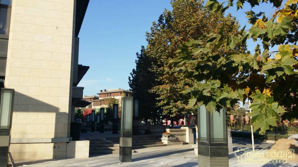 園冶杯 住宅景觀獎 天開園林