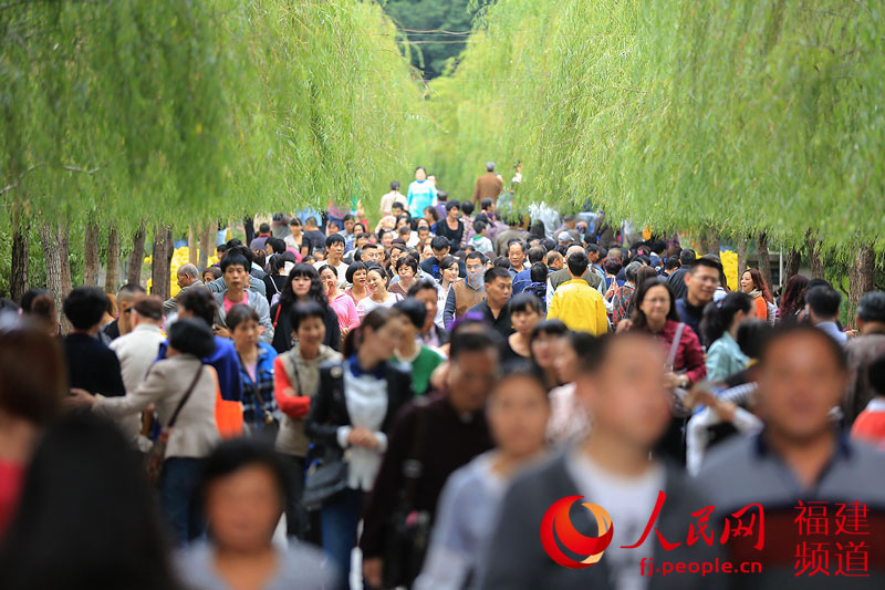 西湖公園菊展創歷屆規模之最 首次亮相大型造型藝菊