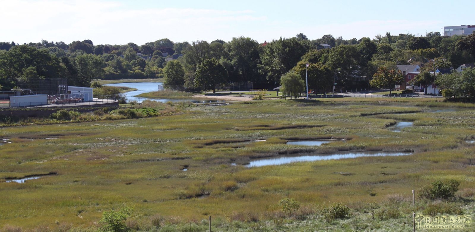 塞勒姆州立大學濕地走廊