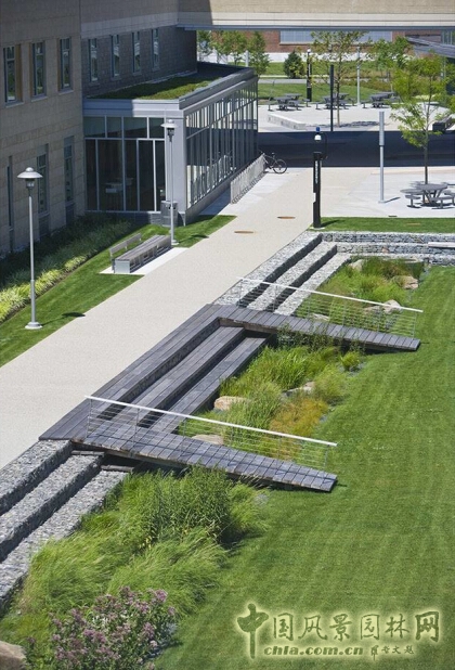 塞勒姆州立大學濕地走廊