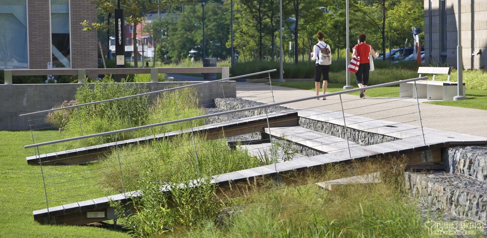 塞勒姆州立大學濕地走廊