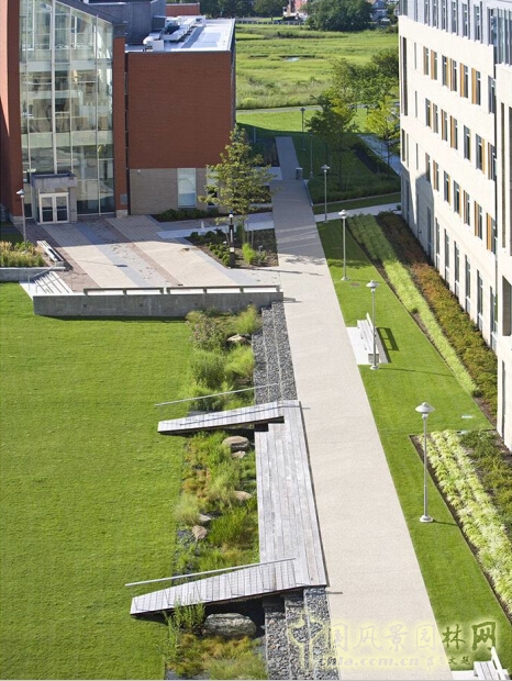 塞勒姆州立大學濕地走廊