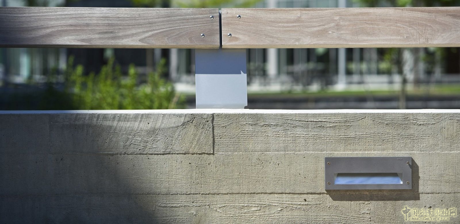 塞勒姆州立大學(xué)濕地走廊