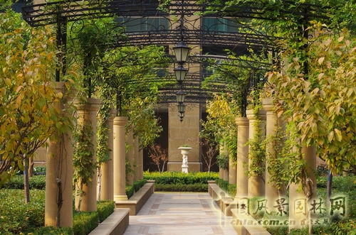 住宅景觀 安道國(guó)際 桂花星城 景觀設(shè)計(jì)