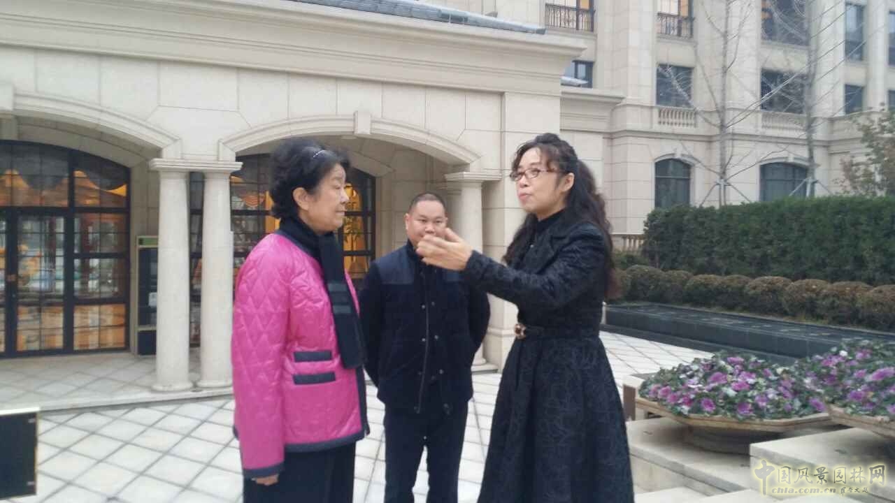 園冶杯 住宅景觀獎 遠(yuǎn)洋鉆石灣 景觀園林