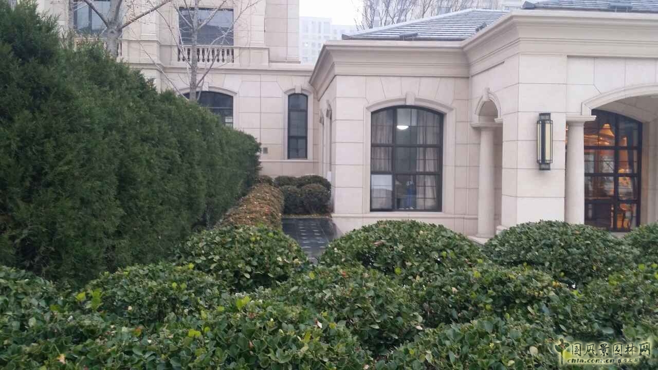 園冶杯 住宅景觀獎 遠洋鉆石灣 景觀園林