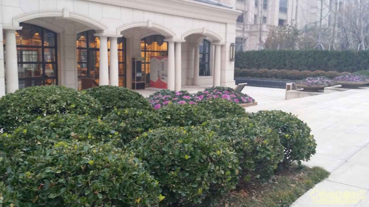 園冶杯 住宅景觀獎 遠洋鉆石灣 景觀園林