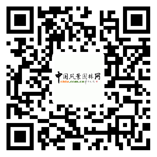 “臺灣考察”開啟互動平臺抽獎活動