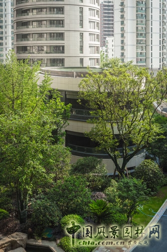 城市之光名邸 規劃設計 安道 設計咨詢