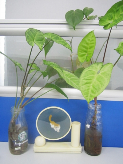 飲料瓶也可再利用