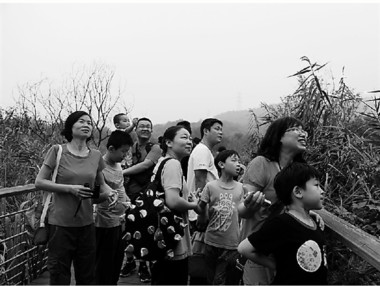 景區公園 江洋畈公園 西湖景區 親子活動