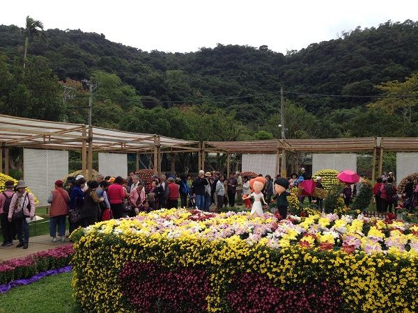 臺(tái)北士林官邸菊展參觀人次突破36萬。