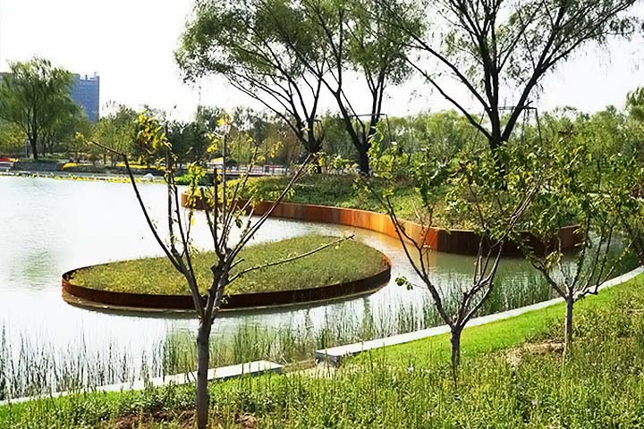 北京節水集雨型綠地項目考察