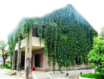 瘦西湖新楊莊橋