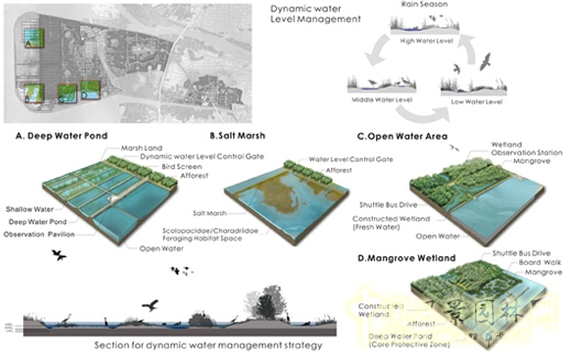 鰲鼓濕地森林公園