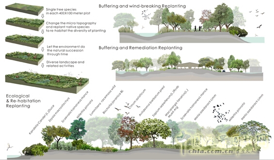 鰲鼓濕地森林公園