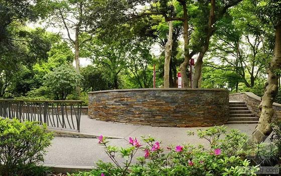 英國國家景觀獎 王向榮 槭樹杜鵑園 杭州植物園