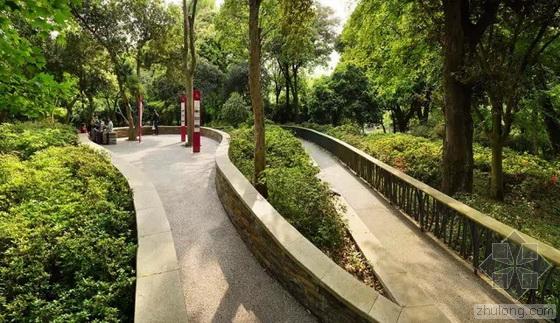 英國國家景觀獎 王向榮 槭樹杜鵑園 杭州植物園