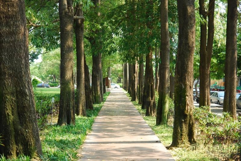 臺中綠園道
