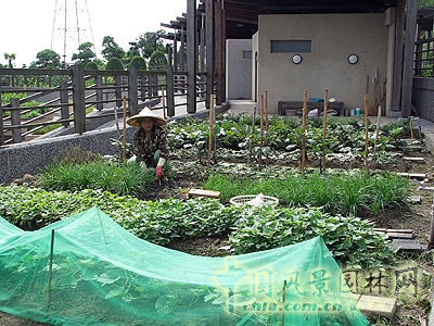 長庚養生文化村