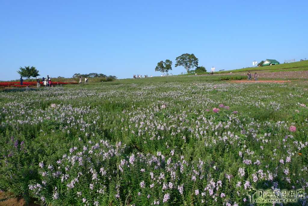 大溪花海農(nóng)場