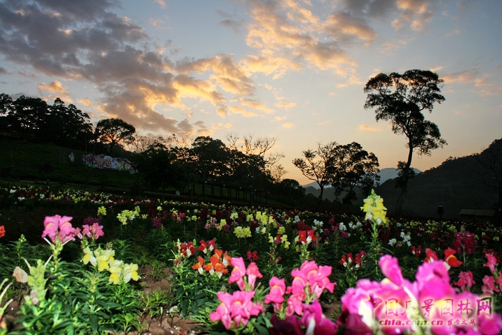 大溪花海農(nóng)場